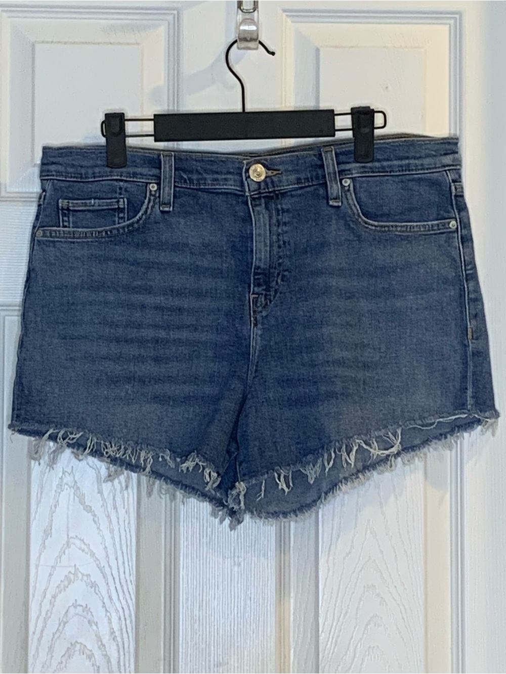 Hudson Gemma Shorts Size 31